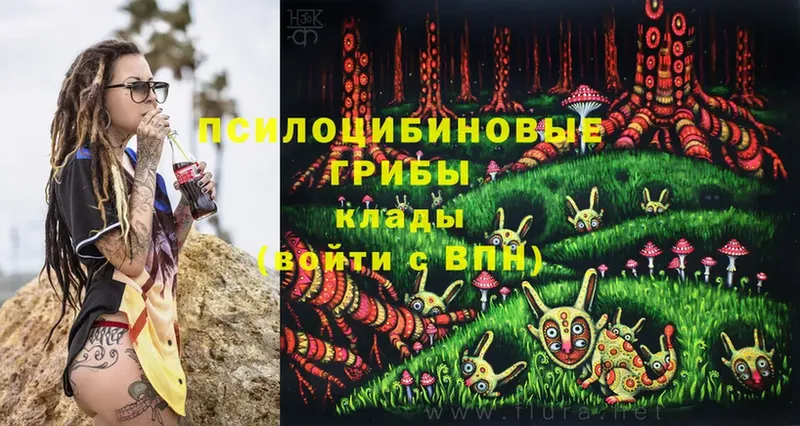 OMG онион  Железноводск  Галлюциногенные грибы Magic Shrooms 